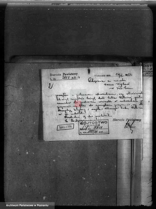 Obraz 6 z jednostki "Majętność leśna Niemierzewo w powiecie międzychodzkim"