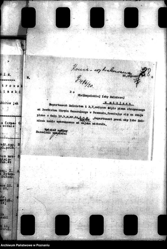 Obraz 12 z jednostki "Konie wojskowe dla ludności cywilnej"