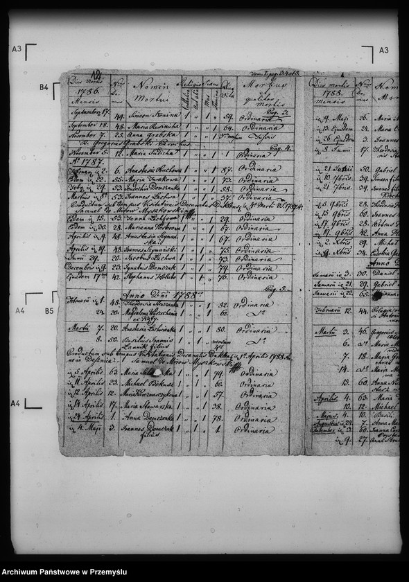 Obraz 16 z jednostki "[Kopie ksiąg metrykalnych parafii Desznica z filią Brzezawa (dekanat Dukla)]"