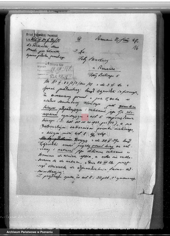 Obraz 20 z jednostki "Majątek Staremiasto powiat koniński /nadzór nad gospodarką leśną/"