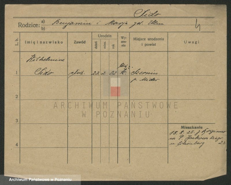 Obraz 11 z jednostki "Sidlewicz - Sieplinski"