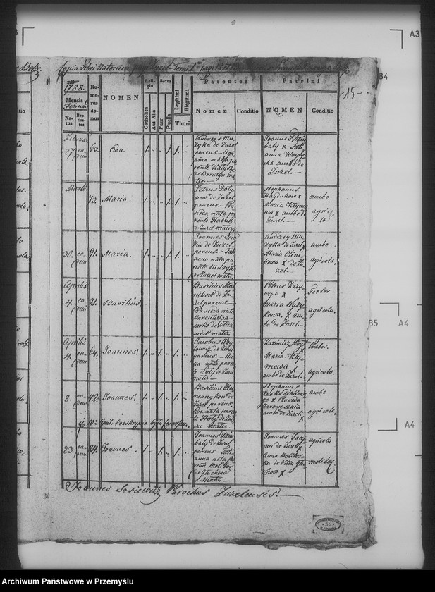 Obraz 19 z jednostki "[Kopie ksiąg metrykalnych parafii Żużel (dekanat Bełz)]"