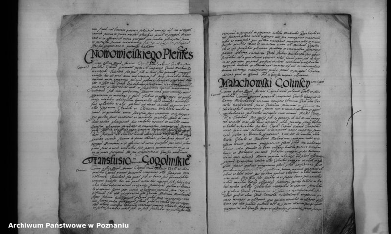 Obraz 9 z jednostki "Inscriptiones [inducta]"