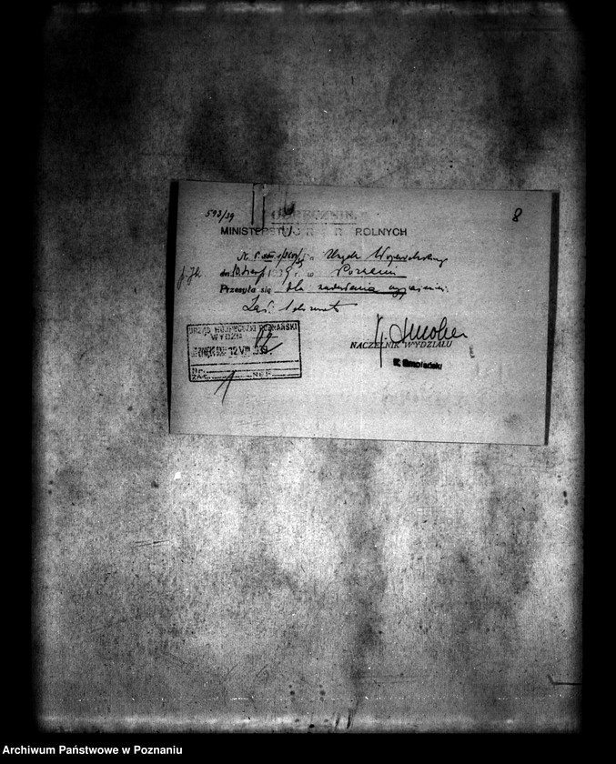 Obraz 12 z jednostki "/Parcelacja majątku w Rzgowie powiatu konińskiego/"