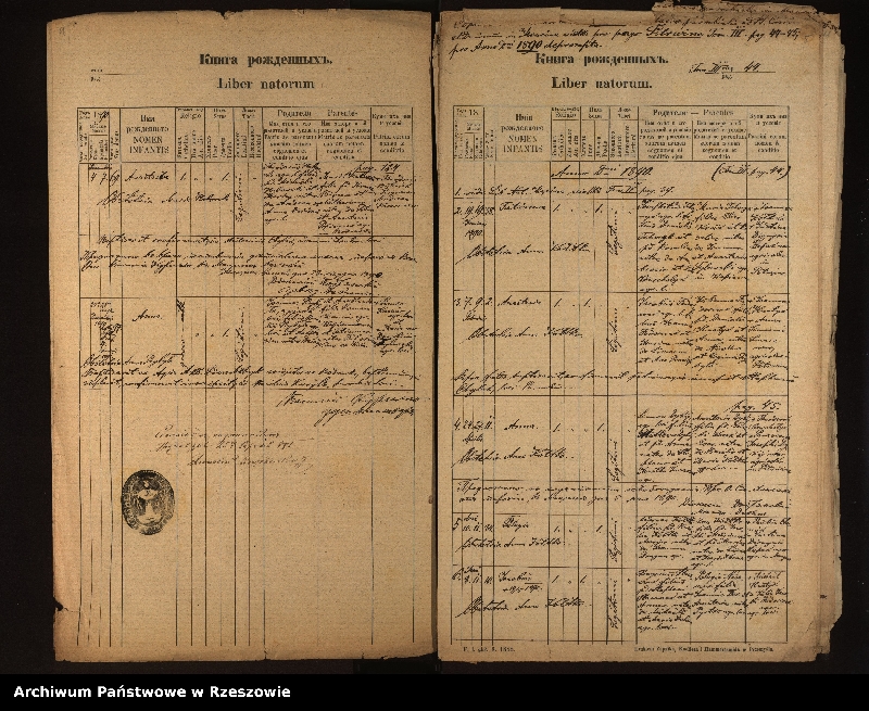 image.from.unit.number "Księga urodzeń, małżeństw i zgonów dla miejscowości Męcina Wielka, Rozdziele, Pstrążne, Wapienne"