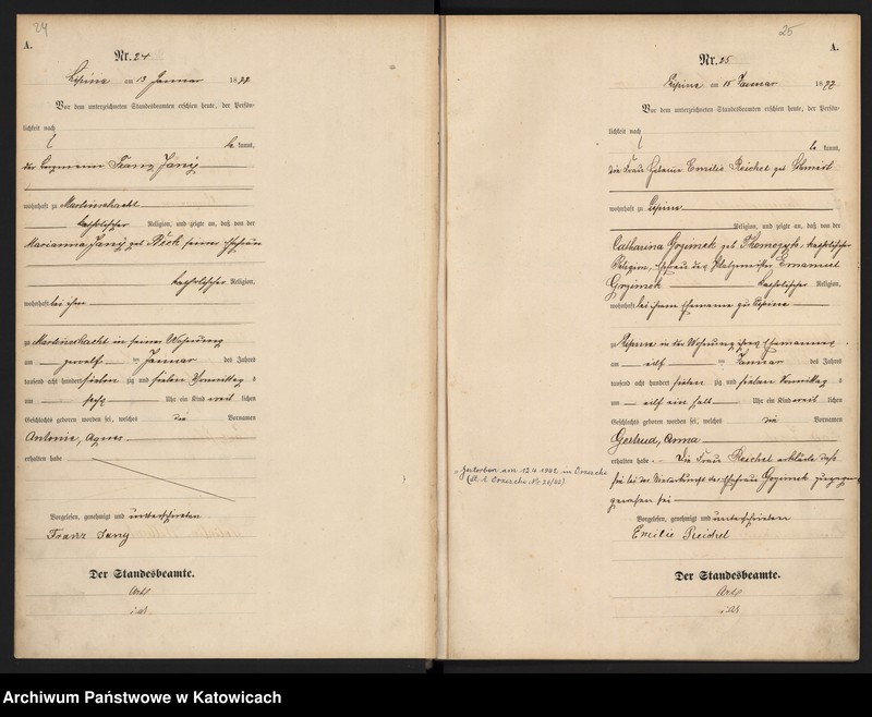 image.from.unit.number "Księga urodzeń T.1 nr 1-356"