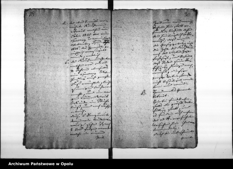 Obraz 20 z jednostki "Acta des Magistrats zu Oppeln betreffend den an das Königliche Ober - Landes - Gericht zu Ratibor erstatteten gutachtlichen Bericht über die Haupt - Ursachen der im Jahre 1835 verübten Verbrechen pp."