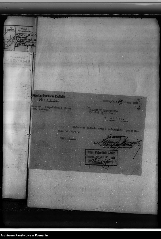 Obraz 6 z jednostki "Lasy majątku Brzeźno powiat koniński"