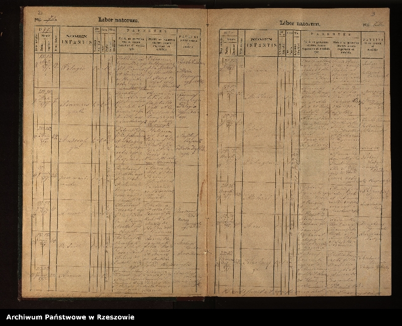 image.from.unit.number "Księga urodzeń, małżeństw i zgonów dla miejscowości Rajskie, Sakowczyk, Studenne, Horodek"