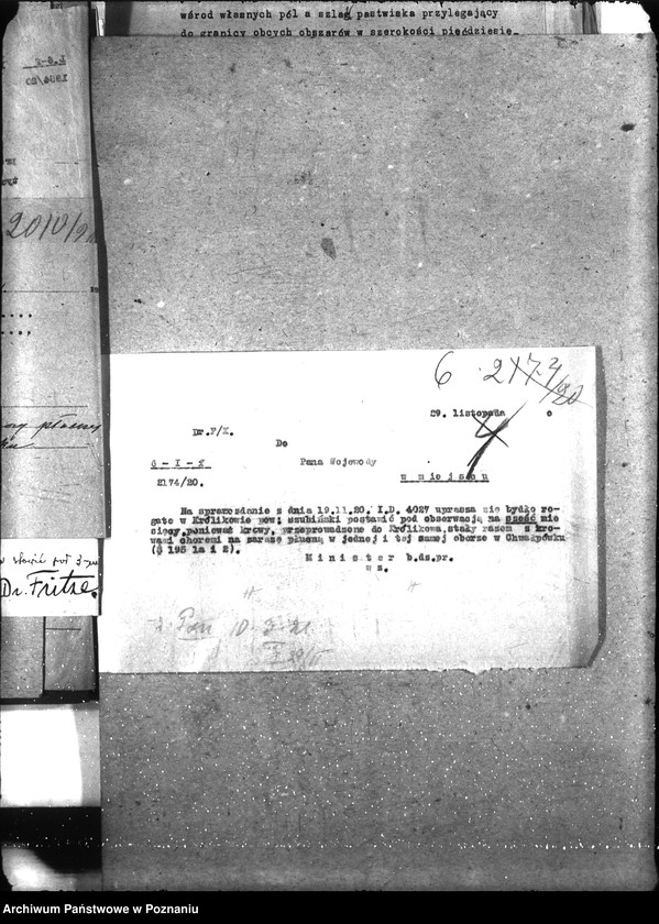 Obraz 10 z jednostki "Zaraza płucna - Witkowo"