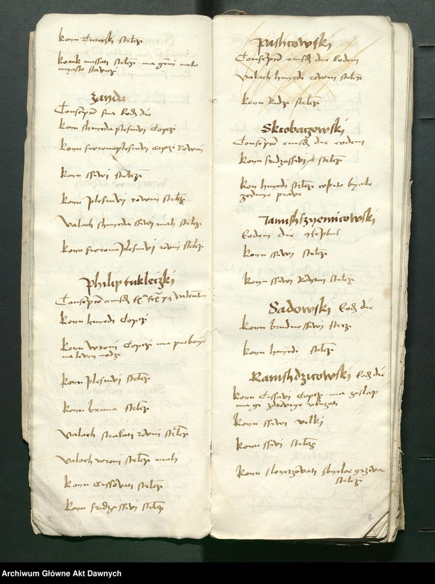 image.from.unit.number "Conscripcio curiensium et cubiculariorum Rmtis AD 1497 in Radom per Petrum Shidlo[wyeczki]."