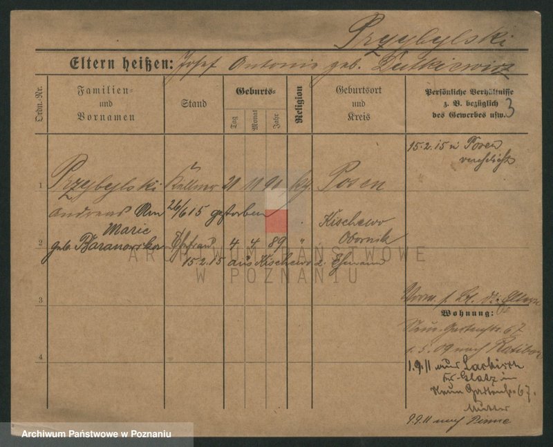 Obraz 5 z jednostki "Przybylski (żonaci - samotni mężczyźni do Gustaw)"