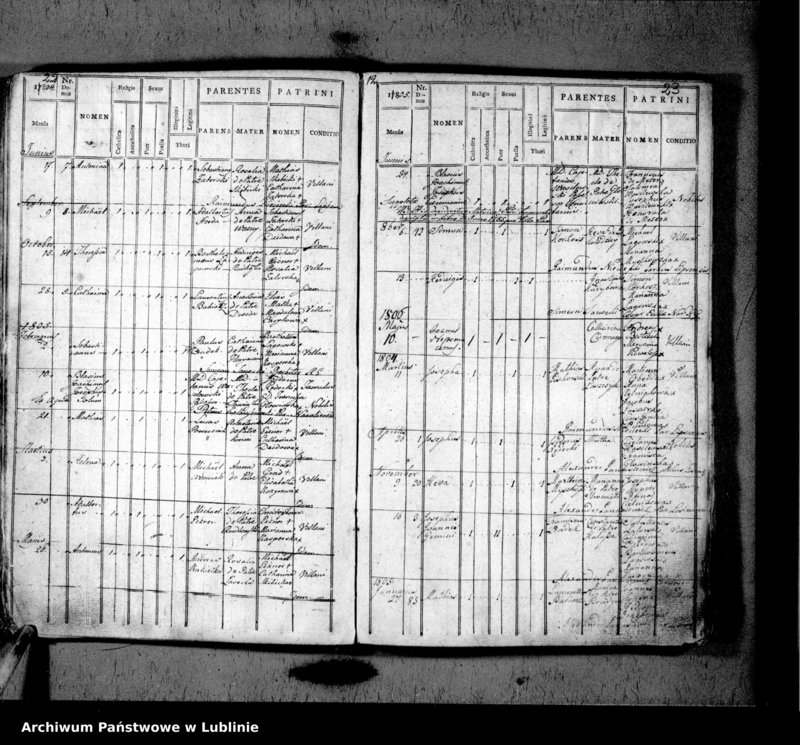 image.from.unit.number "Liber natorum pro villa Rybnica et Paar"