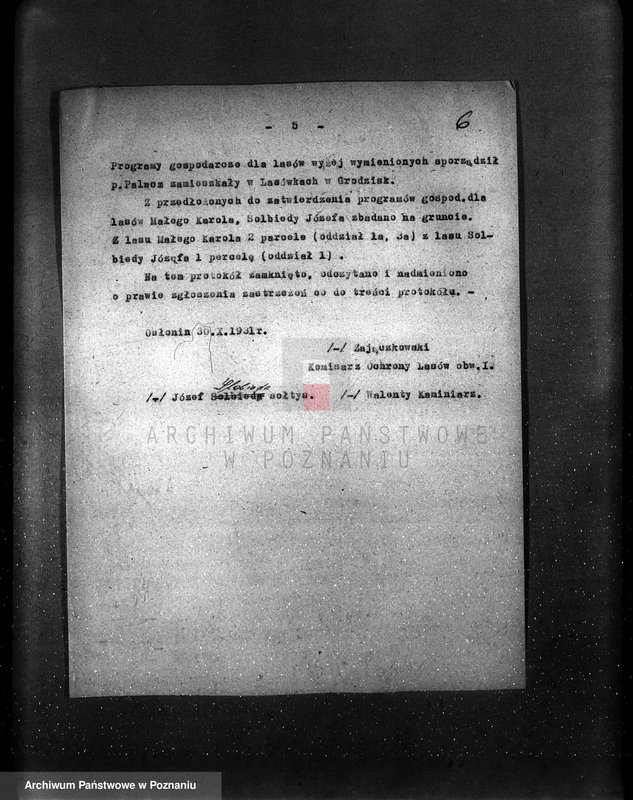 image.from.unit.number "/Nadzór nad gospodarką leśną protokoły badania lasów programy gospodarstw rolnych/ z terenu powiatu wągrowieckiego"