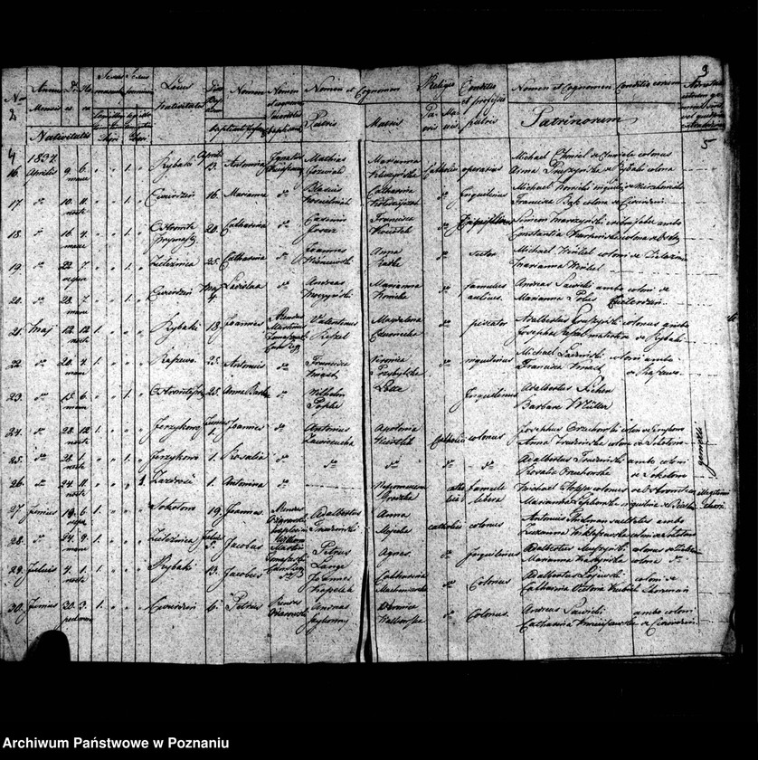 image.from.unit.number "Duplicatum librorum baptisatorum, copulatorum, mortuorum"