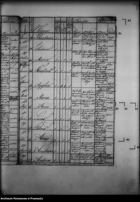 image.from.unit.number "[Kopie ksiąg metrykalnych parafii Rostajne z filiami Świątkówka i Żydowskie (dekanat Dukla)]"