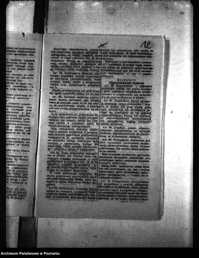 Obraz 16 z jednostki "Ubój zwierząt rzeźnych"