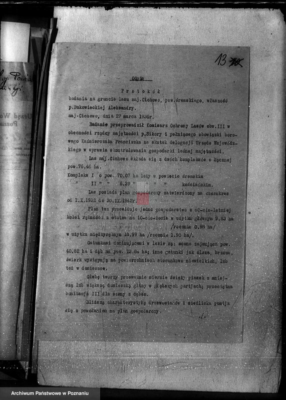 Obraz 16 z jednostki "Nadzór nad gospodarką w lasach majętności Cichowo powiat kościański"