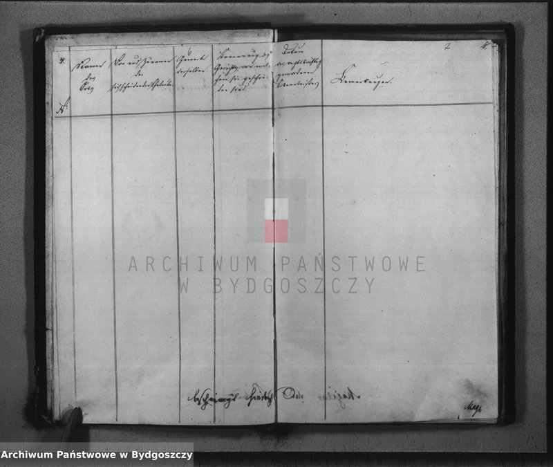 image.from.unit.number "Duplicate der Personen Standes Register der Juden Gemeinde zu Trzemeszno"