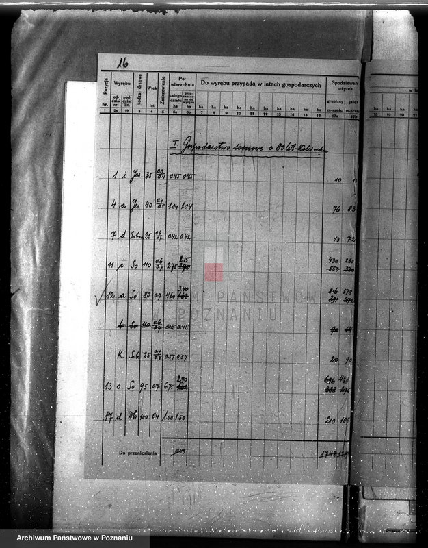 Obraz 20 z jednostki "Plan urządzania gospodarstwa leśnego dla lasu majętności Stary Białcz-Czacz powiat kościański 1935-1945"