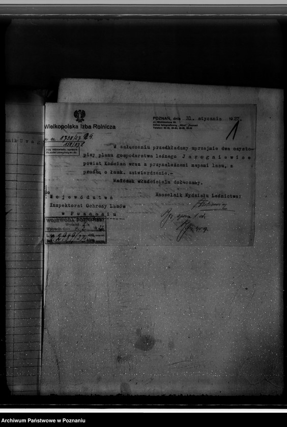 Obraz 5 z jednostki "Gospodarka w lasach majątku Jarogniewice powiat kościański"