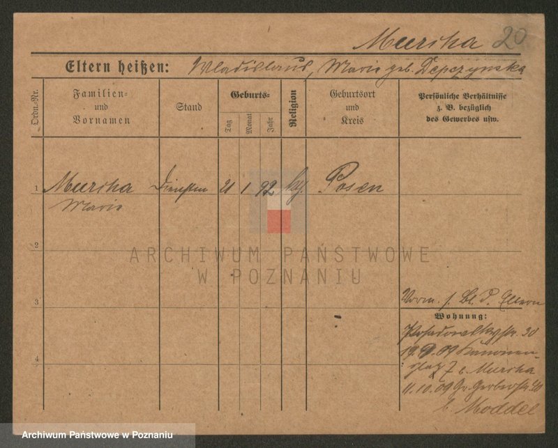 Obraz 20 z jednostki "Murcha - Musiał"