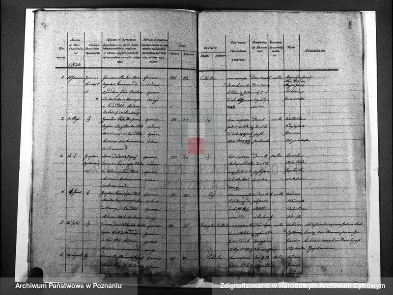 image.from.unit.number "Duplicatus baptisatorum, copulatorum, mortuorum"