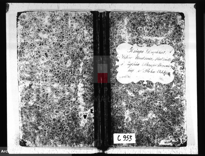 image.from.unit.number "Księga Duplikat Aktów Urodzenia, Małżeństw i Zejścia Parafii Berznickiej z Roku 1855"