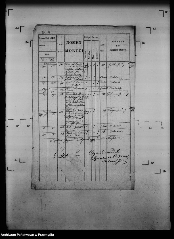 Obraz 15 z jednostki "[Kopie ksiąg metrykalnych parafii Jazów Nowy z filią Cetula (dekanat Jaworów)]"