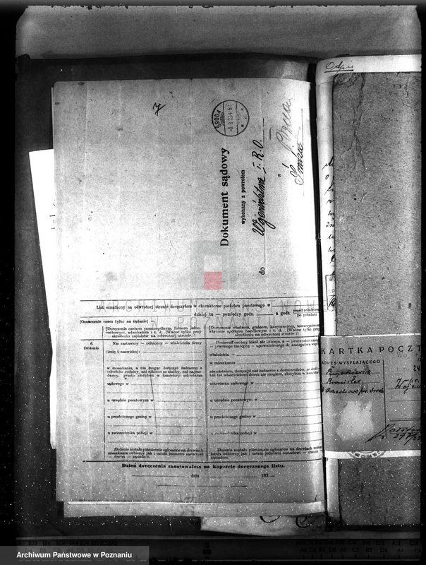 Obraz 11 z jednostki "Nadzór nad gospodarką w lasach majętności Bronisław"