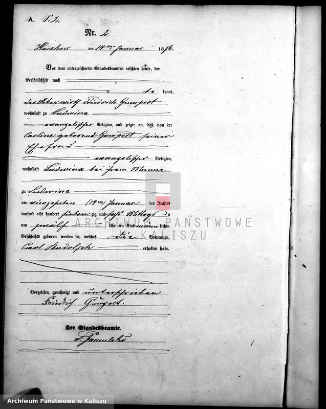 Obraz 5 z jednostki "[Księga urodzeń]"