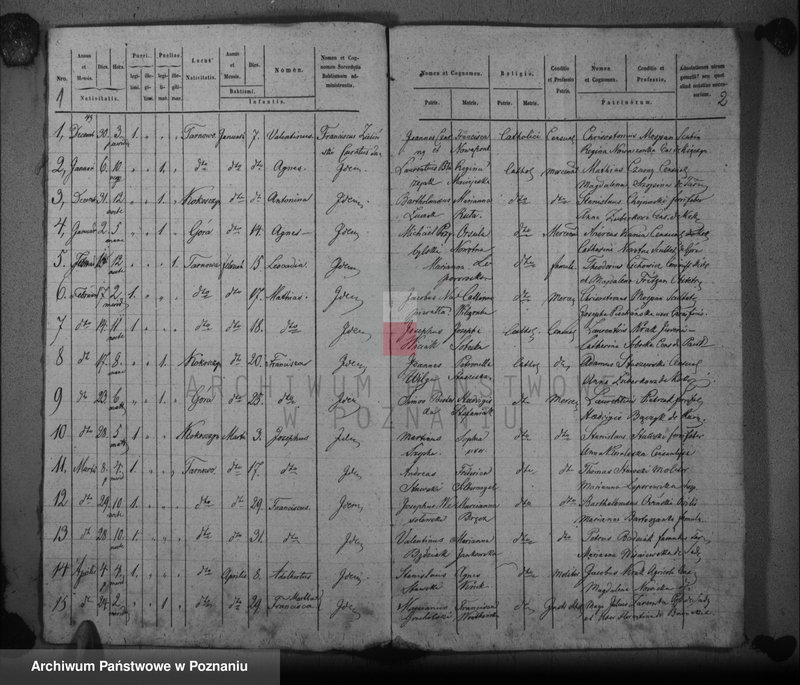 Obraz 4 z jednostki "Duplikat baptisatorum, copulatorum, mortuorum"
