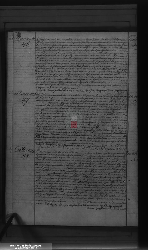 Obraz 19 z jednostki "[Duplikaty akt urodzeń, małżeństw i zgonów z 1878 roku]"