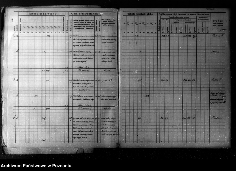 Obraz 7 z jednostki "/Plan urządzania gospodarstwa leśnego dla lasu majątku Turew powiatu kościańskiego 1933-1943/"