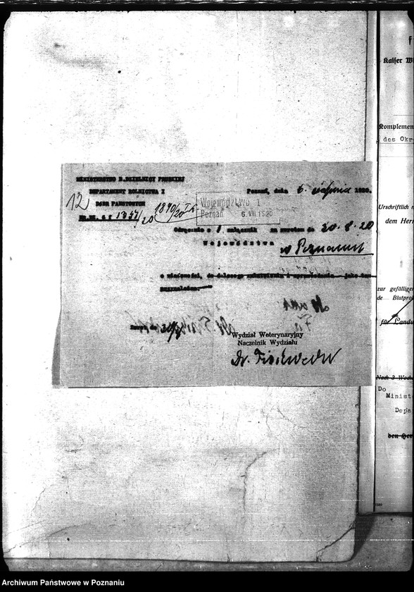 Obraz 16 z jednostki "Nosacizna - Poznań Miasto"