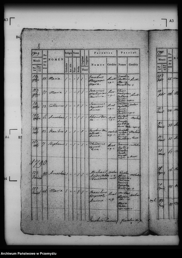 Obraz 12 z jednostki "[Kopie ksiąg metrykalnych parafii Modrycz z filią Solec (dekanat Drohobycz)]"