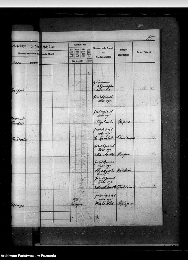 Obraz 19 z jednostki "Sprawy stadnin rozdział rządowych ogierów na stacjach"