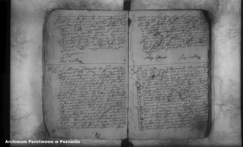 Obraz 11 z jednostki "Inscriptiones, resignationes [protocollon]"