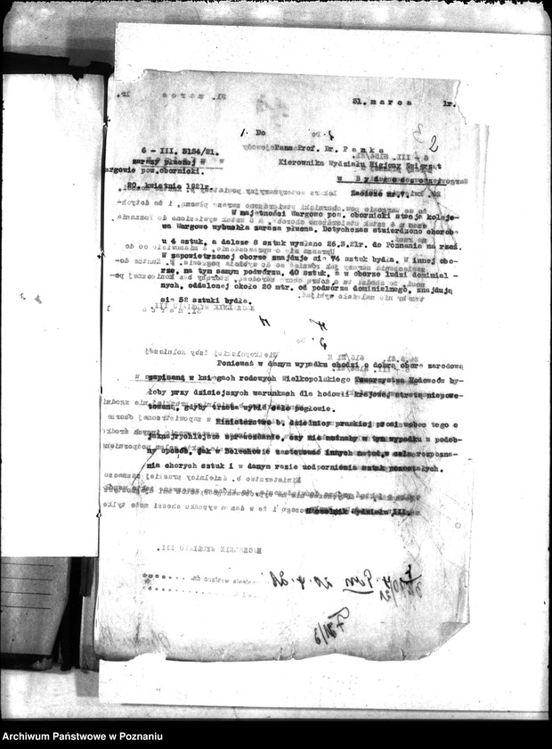 Obraz 6 z jednostki "Zaraza płucna - Oborniki"