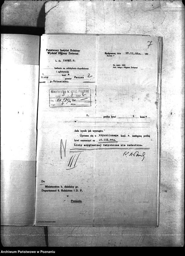 Obraz 11 z jednostki "Nosacizna - Poznań-Zachód"