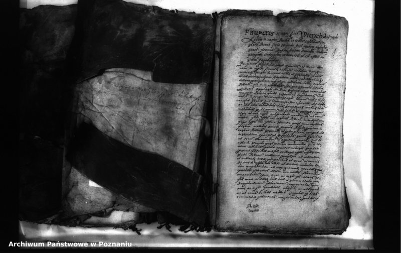 Obraz 3 z jednostki "Decreta iudicii [inducta]"