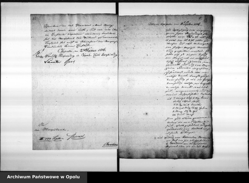 Obraz 14 z jednostki "Acta des Magistrats zu Oppeln betreffend die Manquements des Magazin Rendanten Schreiber pro 1816 Vol. I"