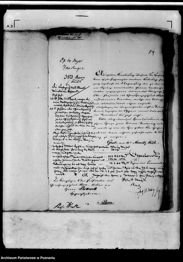 Obraz 19 z jednostki "Personalia des Regierungstranslateurs Herrn Wenus, jetzigen Sekretär beim königlichen Konsistorio und Schulkollegio."