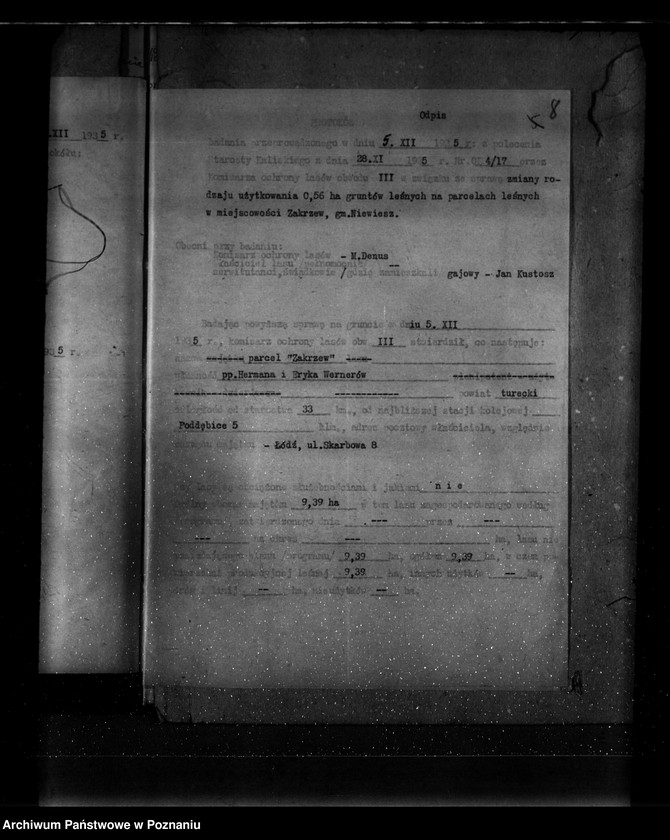 Obraz 12 z jednostki "Parcele leśne pod nazwą,,Zakrzew" powiat turecki"