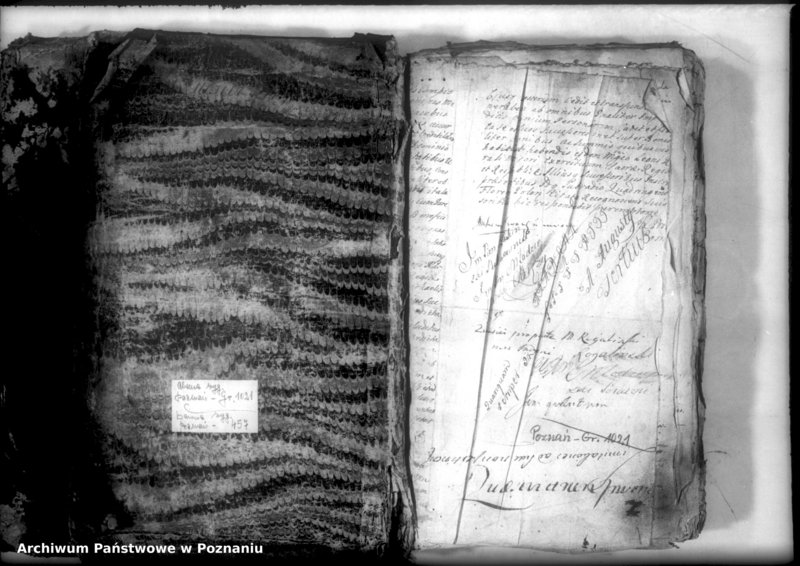 Obraz 3 z jednostki "Relationes [protocollon]"