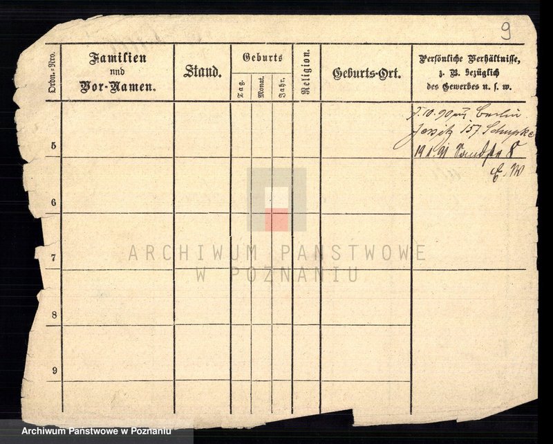 Obraz 11 z jednostki "Daab - Dalkowiecki"