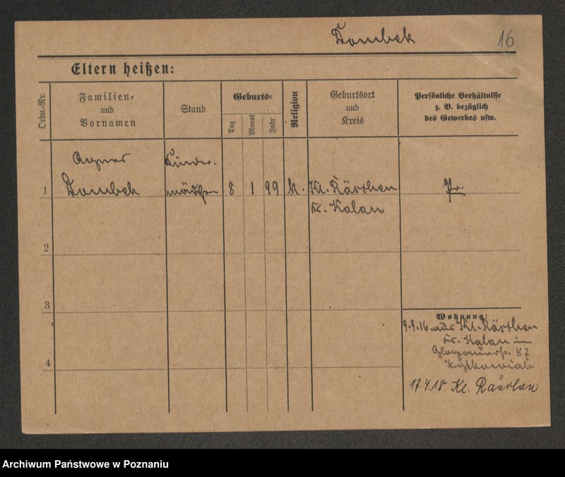 Obraz 18 z jednostki "Dąb (Domb - Dąbrowski (żony, wdowy)"