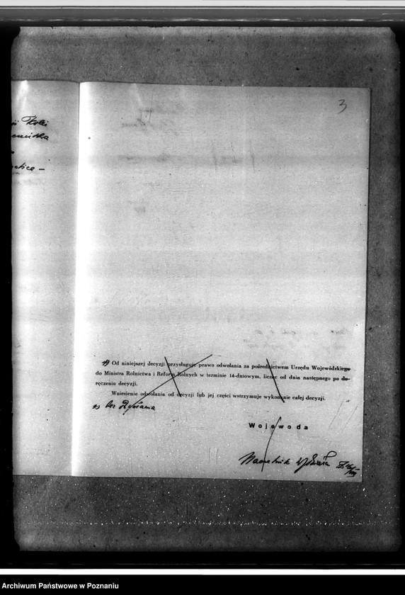 Obraz 7 z jednostki "Majętność leśna Smolice w powiecie gostyńskim"