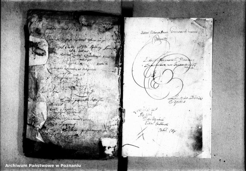 Obraz 4 z jednostki "Inscriptiones, relationes, decreta officii [inducta]"