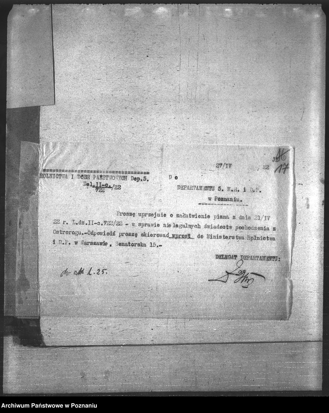 Obraz 20 z jednostki "Leśnictwo"